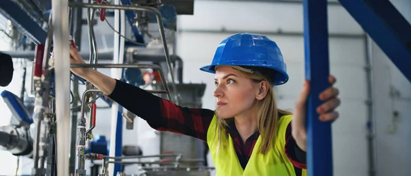 Ritratto Ingegnere Donna Che Lavora Una Fabbrica Industriale — Foto Stock