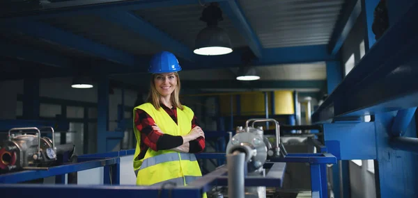 Retrato Una Ingeniera Que Trabaja Una Fábrica Industrial — Foto de Stock