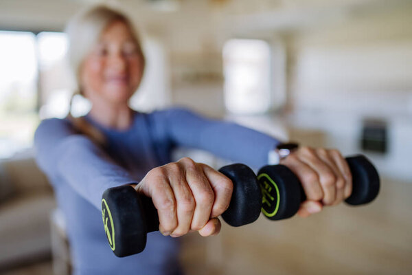Fit Senior Woman Exercising Dumbbells Home Active Lifestyle Concept Royalty Free Stock Images