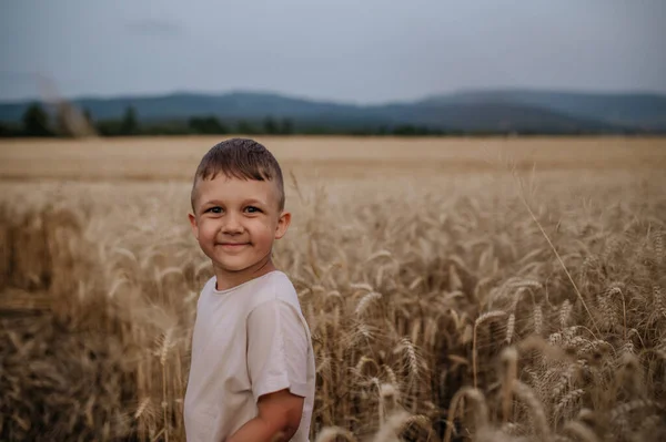 Liten Pojke Står Vetefältet Sommaren — Stockfoto