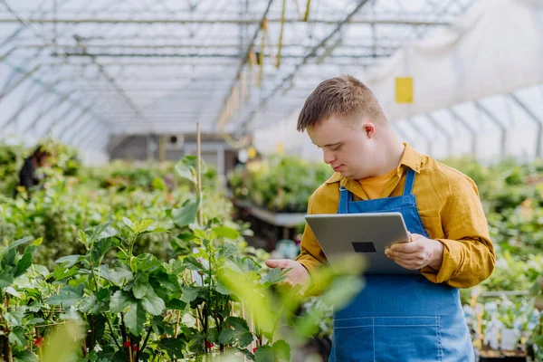 Young Man Syndrome Working Garden Centre Holidng Clipboard Checking Plants — Stock Photo, Image