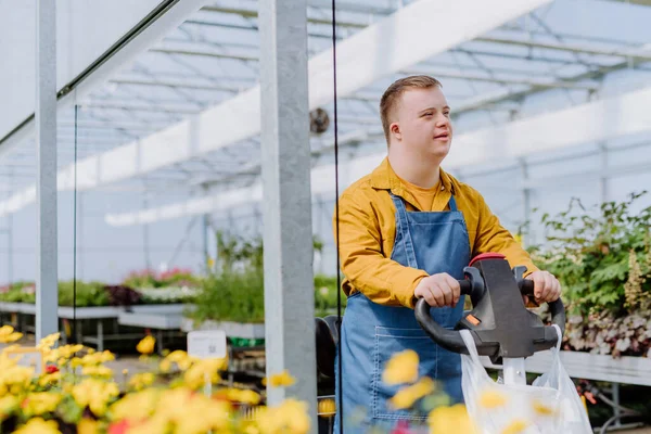 Joven Empleado Con Síndrome Que Trabaja Centro Jardinería Usando Apilador — Foto de Stock