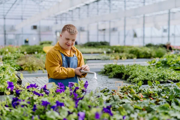 Joven Feliz Empleado Con Síndrome Que Trabaja Centro Jardinería Regando — Foto de Stock