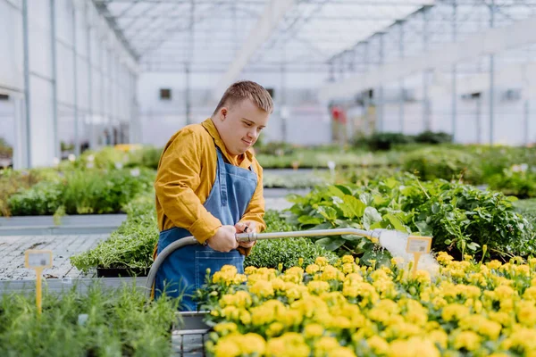 Sendromlu Mutlu Bir Çalışan Bahçe Merkezinde Çalışıyor Bitkileri Duş Başlığı — Stok fotoğraf