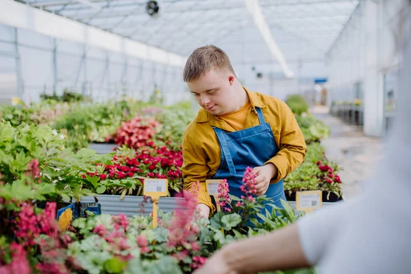 Joven Feliz Empleado Con Síndrome Que Trabaja Centro Jardinería Cuidando — Foto de Stock