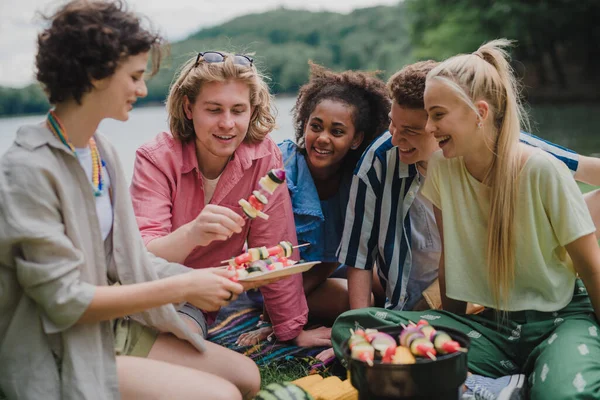 Grupo Jovens Amigos Multirraciais Acampando Parque Campismo Perto Lago Fazendo — Fotografia de Stock