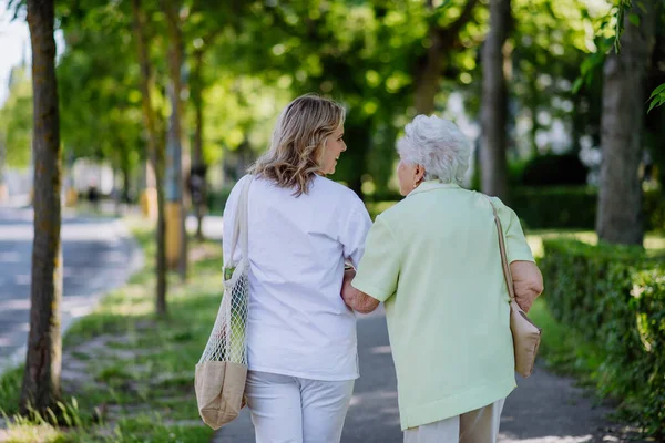 Tylny Widok Opiekuna Starszą Kobietą Spacerze Walker Parku Torbą Zakupy — Zdjęcie stockowe