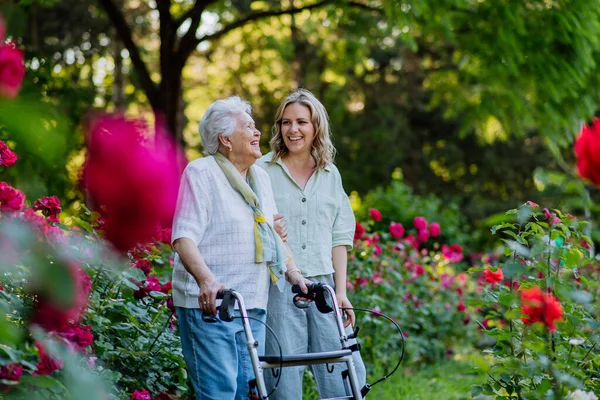 Egy Felnőtt Nagypapa Támogatja Nagyanyját Amikor Nyáron Sétálni Viszi Walker — Stock Fotó
