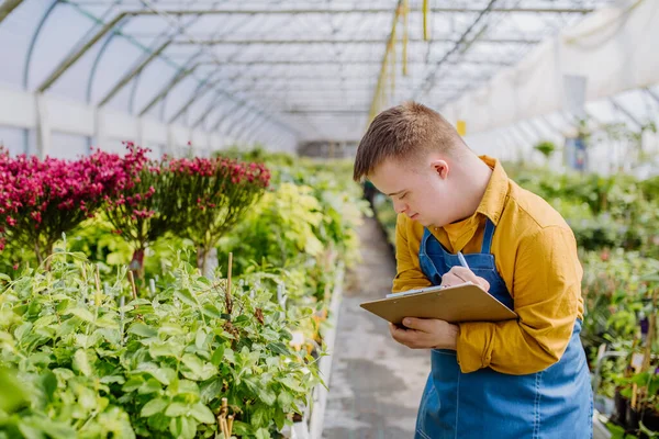 Sendromlu Genç Bir Adam Bahçe Merkezinde Çalışıyor Tatil Panosu Bitkileri — Stok fotoğraf