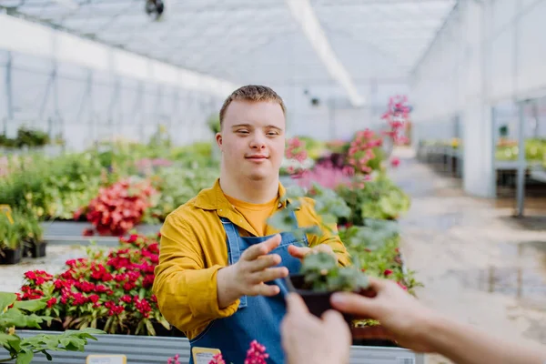 Seorang Karyawan Muda Yang Bahagia Dengan Sindrom Bekerja Pusat Kebun — Stok Foto