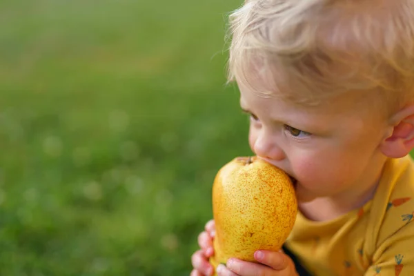 Cute Little Boy Eating Pear Garden Summer — ストック写真