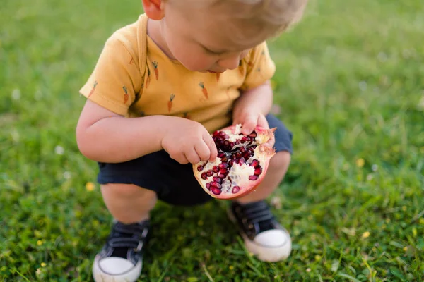 Cute Little Boy Eating Pomegranate Garden Summer —  Fotos de Stock