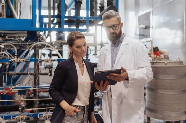 Engineering Managers Doing Routine Check Industrial Factory — Stock Photo, Image