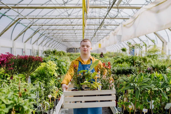 Jovem Com Síndrome Trabalhando Centro Jardinagem Carregando Caixote Com Plantas — Fotografia de Stock