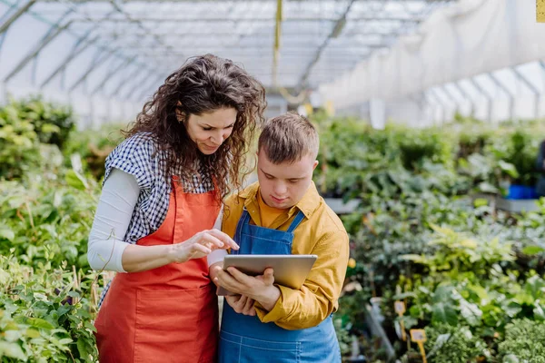 Una Florista Experimentada Que Ayuda Una Empleada Joven Con Síndrome — Foto de Stock