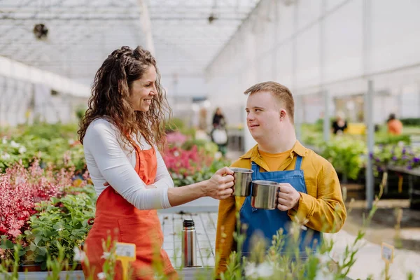 Una Florista Con Joven Colega Con Síndrome Tomando Centro Jardinería — Foto de Stock