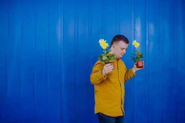 一个快乐的年轻人 患有唐氏综合征 看着相机 拿着蓝色背景的盆栽 — 图库照片