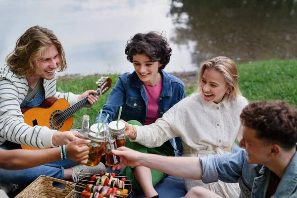 Group Young Friends Having Fun Picnic Lake Sitting Blanket Toasting — Fotografia de Stock