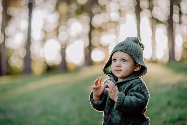 Portrait Cute Little Boy Wearing Knitted Hoodie Nautre Autumn Concept — Stok fotoğraf