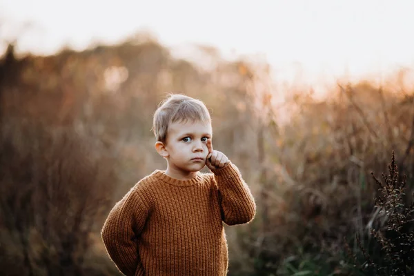 Portrait Cute Little Boy Wearing Knitted Sweater Nautre Autumn Concept — Fotografia de Stock