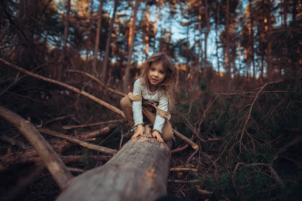 Autumn Portrait Happy Little Girl Balancing Tree Trunk Outdoors Forest — Fotografia de Stock