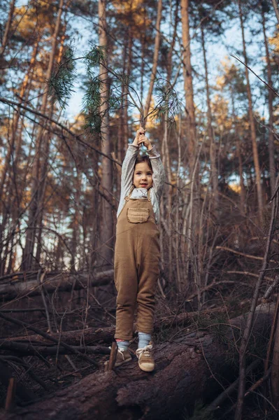 Autumn Portrait Happy Little Girl Balancing Tree Trunk Raised Arms — стоковое фото