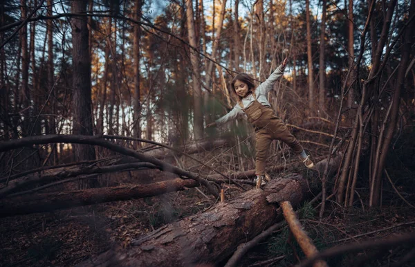 Jesienny Portret Szczęśliwej Dziewczynki Balansującej Pniu Drzewa Ramionami Wyciągniętymi Zewnątrz — Zdjęcie stockowe