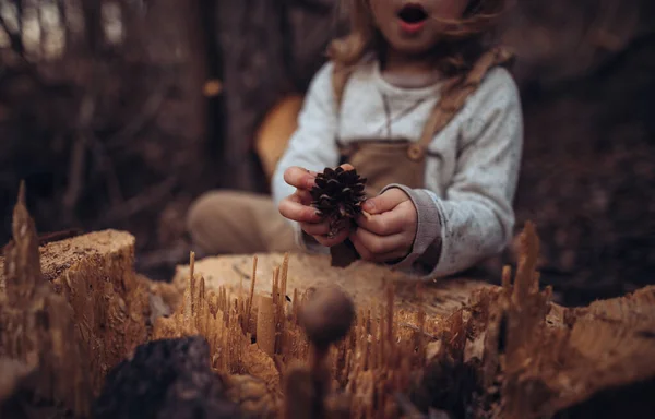 Close Little Girl Exploring Nature Holding Pine Cone Outdoors Autumn — 图库照片