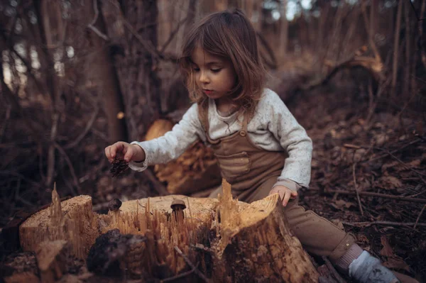 Little Girl Exploring Nature Holding Pine Cone Outdoors Autumn Forest — Fotografia de Stock