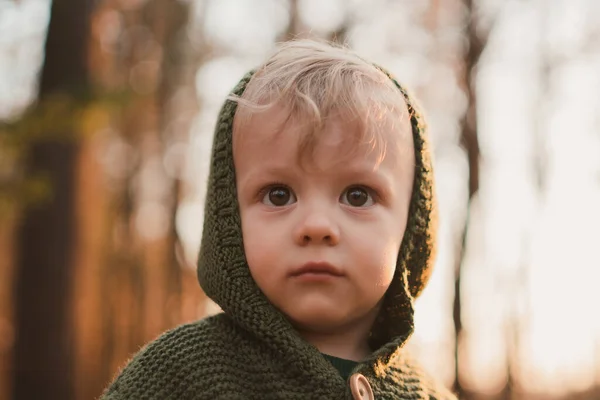 Close Cute Little Boy Knitted Hoodie Forest Autumn Concept — Stock fotografie