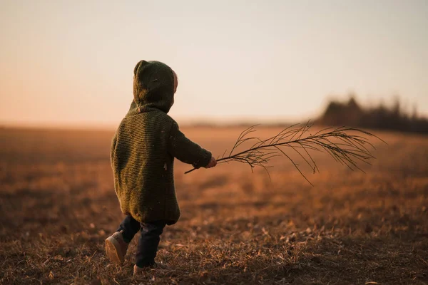 Rear View Little Boy Knitted Sweater Walk Autumn Nature — Stockfoto