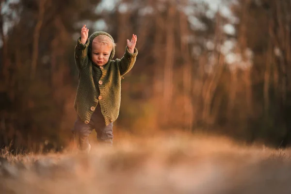 Happy Little Boy Knitted Hoodie Having Fun Walk Autumn Nature —  Fotos de Stock