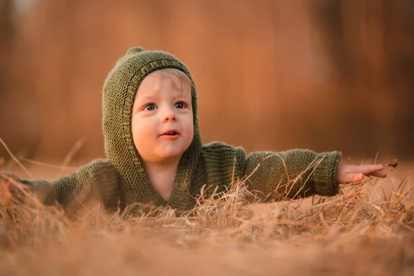 Autumn Portrait Happy Little Boy Knitted Sweater Lying Front Dry — Fotografia de Stock