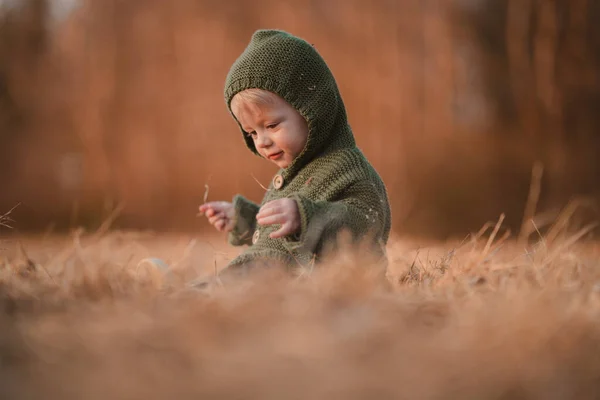 Ein Herbstporträt Eines Glücklichen Kleinen Jungen Strickpullover Der Trockenem Gras — Stockfoto