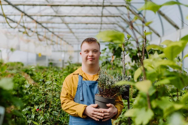 Egy Boldog Fiatal Alkalmazott Szindrómával Aki Kertészeti Központban Dolgozik Virágokról — Stock Fotó