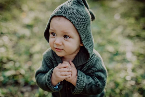 Portrait Cute Little Boy Wearing Knitted Hoodie Nautre Autumn Concept — Stock fotografie