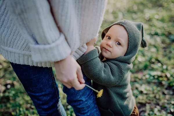 Mother Holding Hands Her Baby Son Walking Nature Babys First — Foto Stock