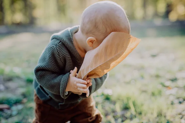 Portrait Cute Little Boy Wearing Knitted Hoodie Nautre Holding Dry — Φωτογραφία Αρχείου