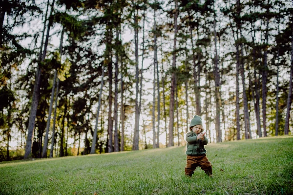 Ein Porträt Des Niedlichen Kleinen Jungen Mit Strickpullover Nautre Herbstkonzept — Stockfoto