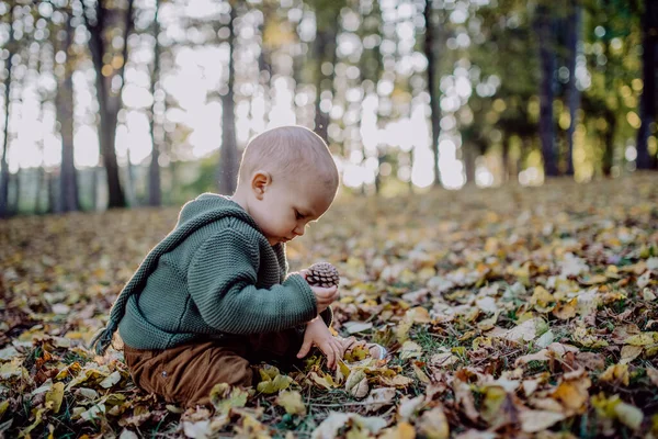 Little Boy Sitting Dry Leaves Nature Autumn Concept — Foto Stock