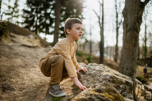 Een Portret Van Schattig Nieuwsgierig Jongetje Nautre Herfst Concept — Stockfoto