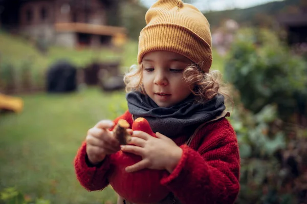 Little Girl Harvesting Organic Pumpkin Eco Greenhouse Spring Sustainable Lifestyle — Fotografia de Stock