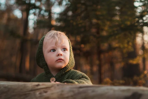 Baby Boy Outdoor Autumn Portrait Child Having Fun Red Yellow — стоковое фото