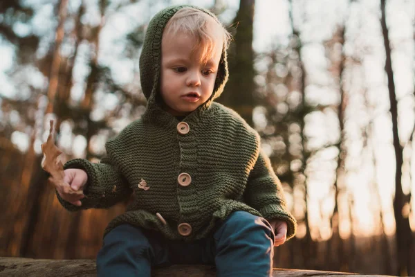 Låg Vinkel Syn Liten Nyfiken Pojke Promenad Naturen — Stockfoto