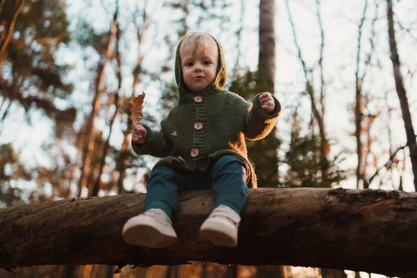 Low Angle View Little Curious Boy Walk Nature Sitting Tree — Stock fotografie