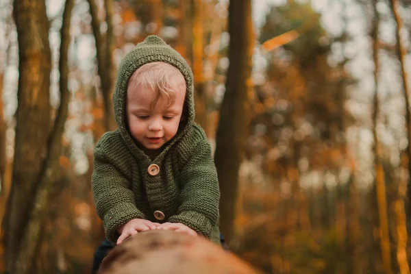 Little Curious Boy Walk Nature Sitting Tree Stump — Photo