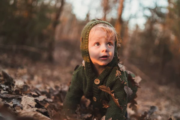 Little Curious Boy Walk Nature — Stock fotografie