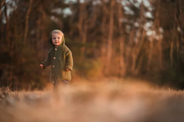 Happy Little Boy Knitted Hoodie Having Fun Walk Autumn Nature — Fotografia de Stock