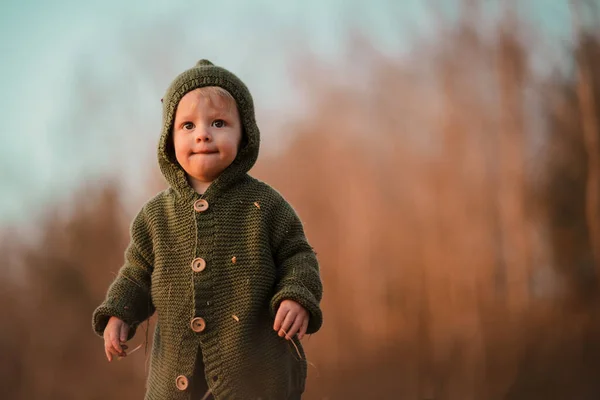 Liten Nyfiken Pojke Promenad Naturen Tittar Kameran — Stockfoto