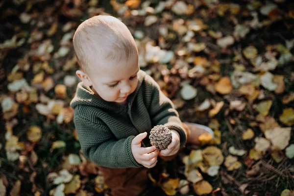 Little Toddler Boy Exploring Nature Holding Pine Cone Outdoors Autumn — Foto de Stock